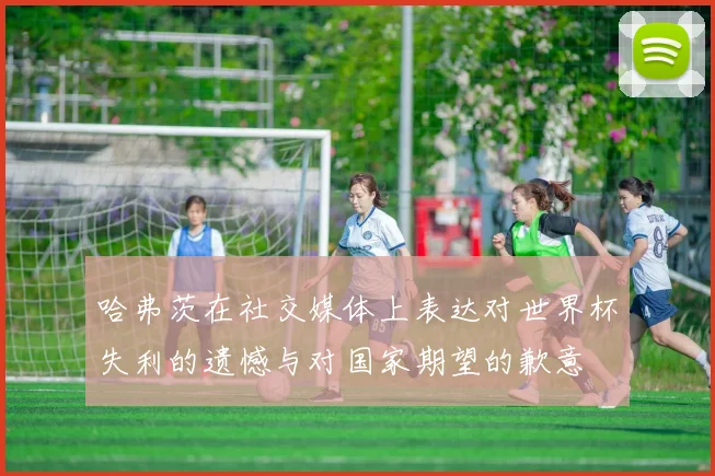 哈弗茨在社交媒体上表达对世界杯失利的遗憾与对国家期望的歉意