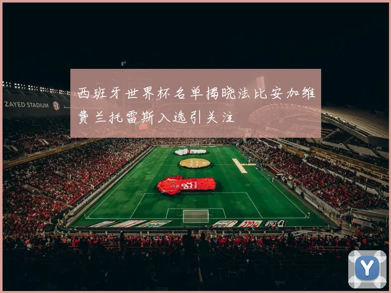 西班牙世界杯名单揭晓法比安加维费兰托雷斯入选引关注
