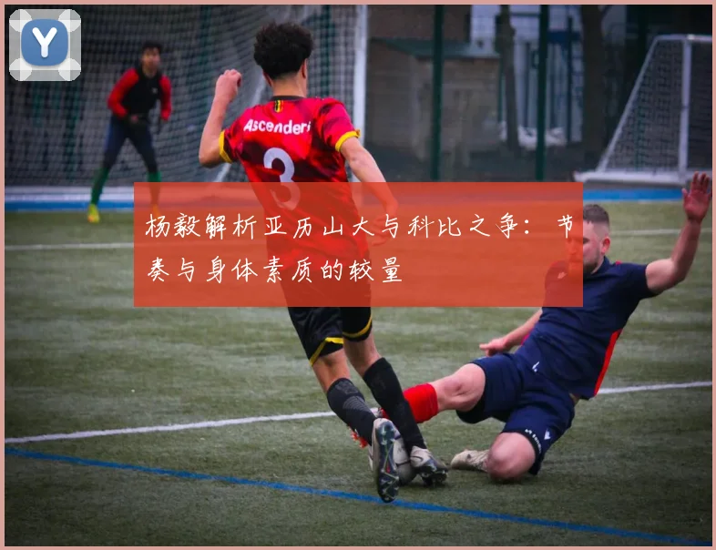 杨毅解析亚历山大与科比之争：节奏与身体素质的较量