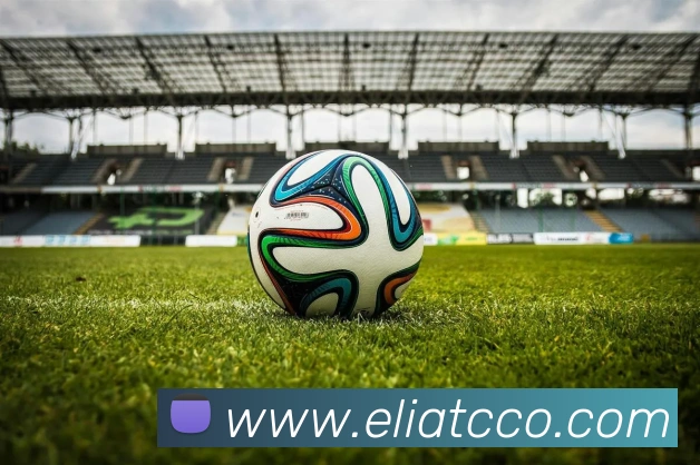 MKSports官方网站入口APP 体育赛事宣传图